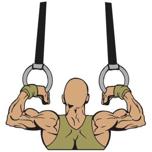 AR GYM 14 R Thumbnail