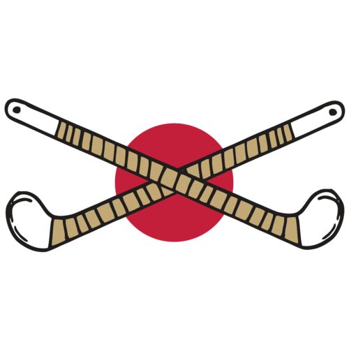 AR FHOCKEY 10 RC Thumbnail