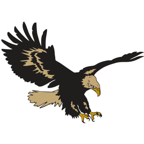 AR EAGLE 47 RC Thumbnail