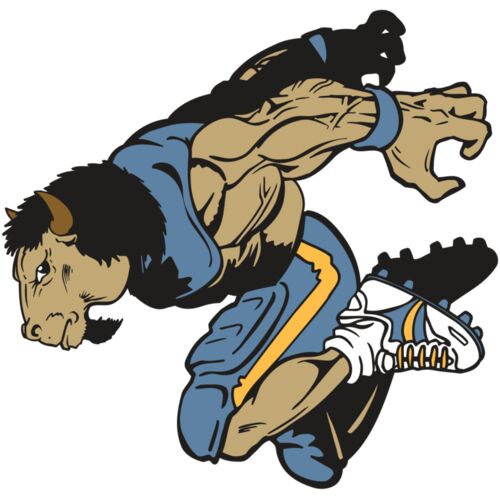 AR14 BUFFALO FBLL 07 RQC Thumbnail