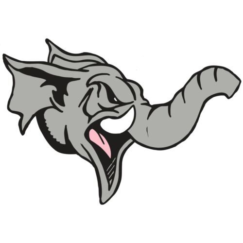 AR5 Elephant 03 RQC Thumbnail