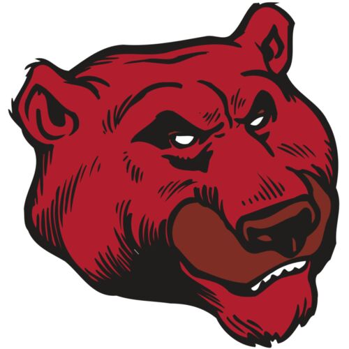 AR BEAR 10 RC Thumbnail