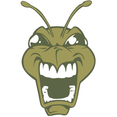 BAW BEE 13 RC Thumbnail