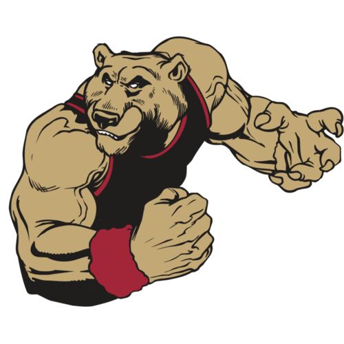 AR BEAR 40 RC Thumbnail