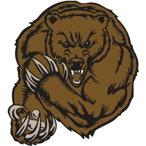 BAW BEAR 07 RC Thumbnail