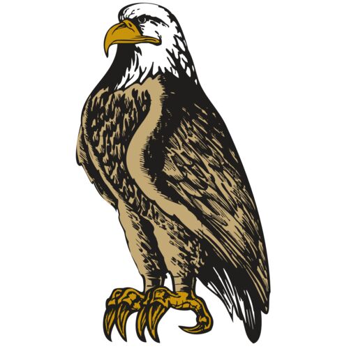 BAW EAG 02 RC Thumbnail