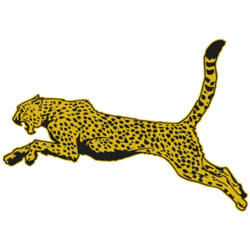 AR CHEETAH 10 RC Thumbnail