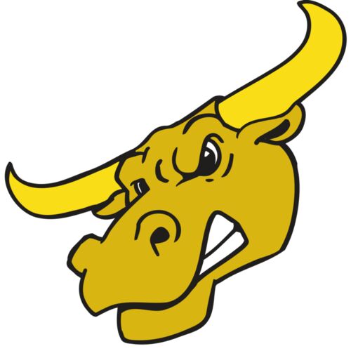 AR BULL 29 RC Thumbnail