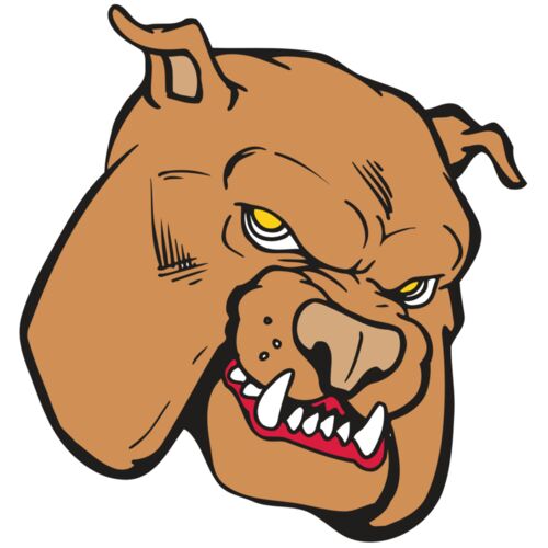 AR BDOG 41 RC Thumbnail