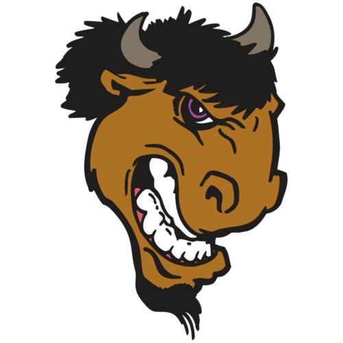 AR BUFFALO 13 RC Thumbnail