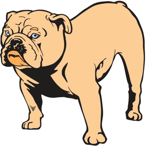 AR BDOG 85 RC Thumbnail