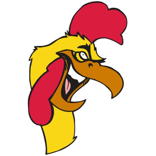 AR5 Gamecock 08 RQC Thumbnail