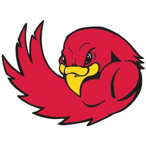 AR FALCON 18 RC Thumbnail