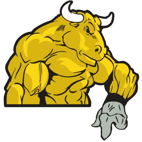 AR BULL 13 RC Thumbnail