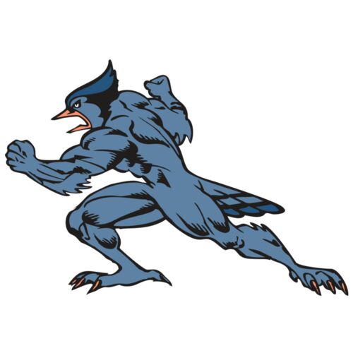 BAW BLUEJAY 15 RC Thumbnail