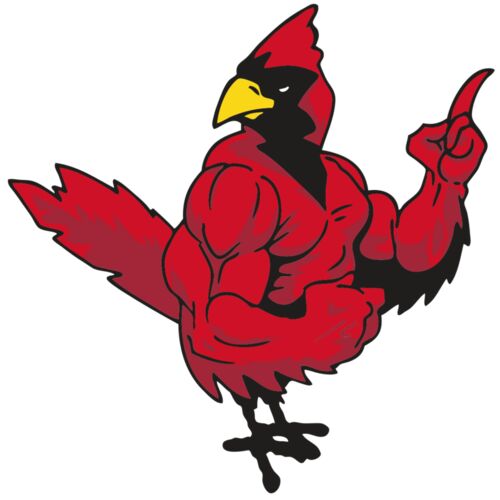 AR CARDINAL 27 RC Thumbnail