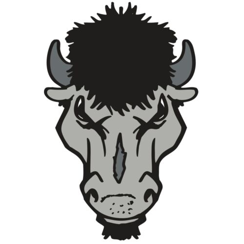 AR BUFFALO 15 RC Thumbnail