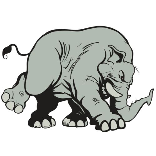 AR5 Elephant 08 RQC Thumbnail