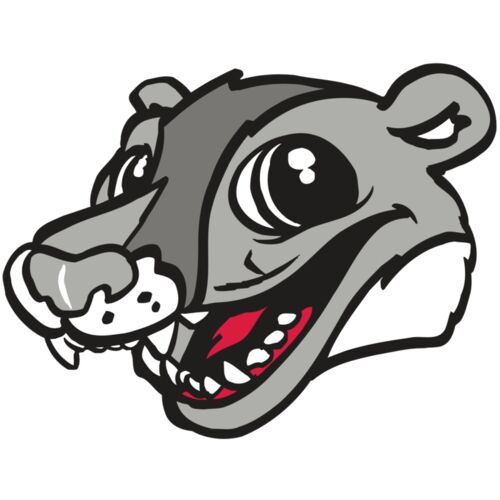 AR WOLVERINE 12 RC Thumbnail