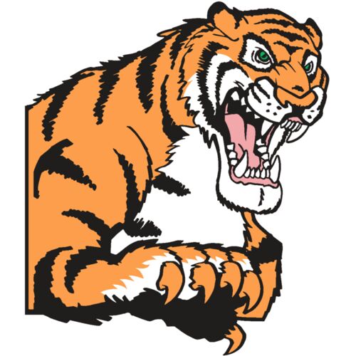 AR TIGER 10 RC Thumbnail