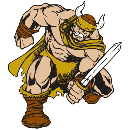 AR VIKING 35 RC Thumbnail