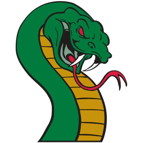 AR SNAKE 12 RC Thumbnail