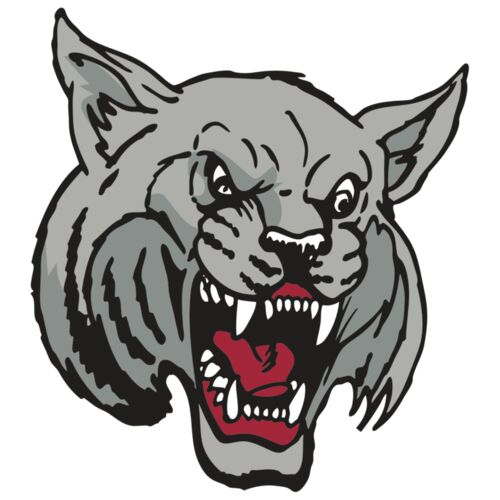 AR WILDCAT 42 RC Thumbnail