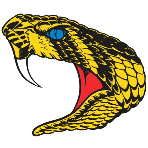 BAW SNAKE 06 RC Thumbnail