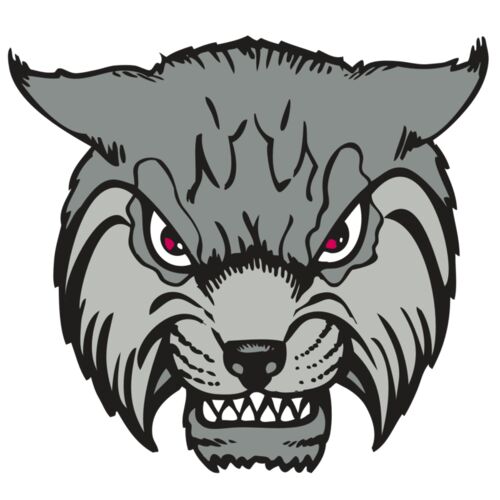 BAW BOBCAT 02 RC Thumbnail