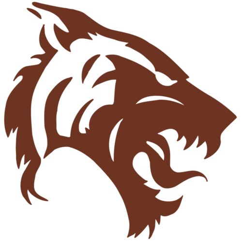 AR5 TIGER 06 RQC Thumbnail