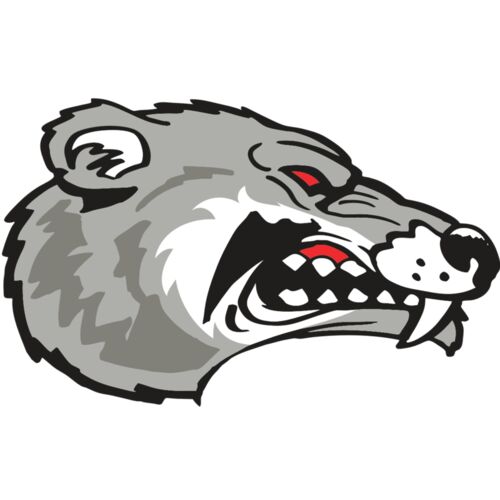 AR WOLVERINE 13 RC Thumbnail