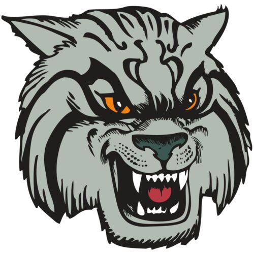 BAW WILDCAT 03 RC Thumbnail