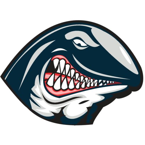 WHALE HD0501 RQC Thumbnail