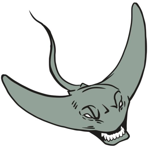 AR19 STINGRAY 05 RQC Thumbnail