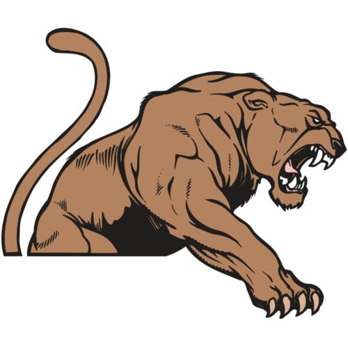 AR COUGAR 55 RC Thumbnail