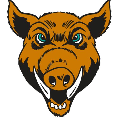 AR19 RAZOR 02 RQC Thumbnail