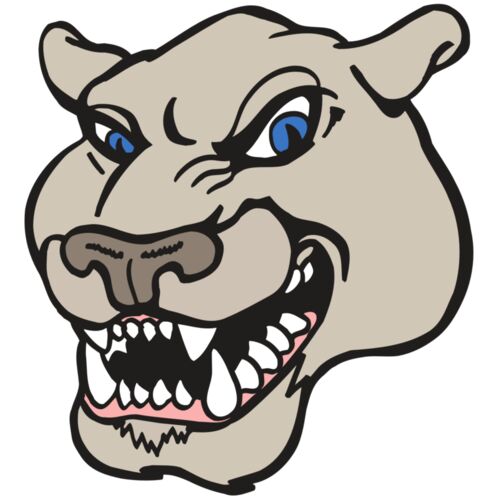 AR5 COUGAR 10 RQC Thumbnail