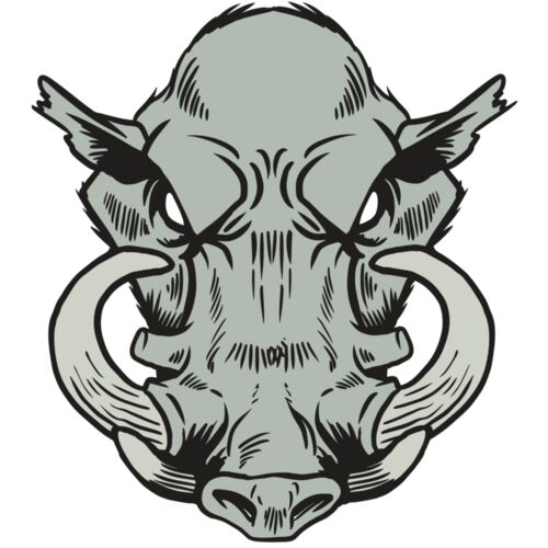 AR20 RAZORBACK 38 RQC Thumbnail