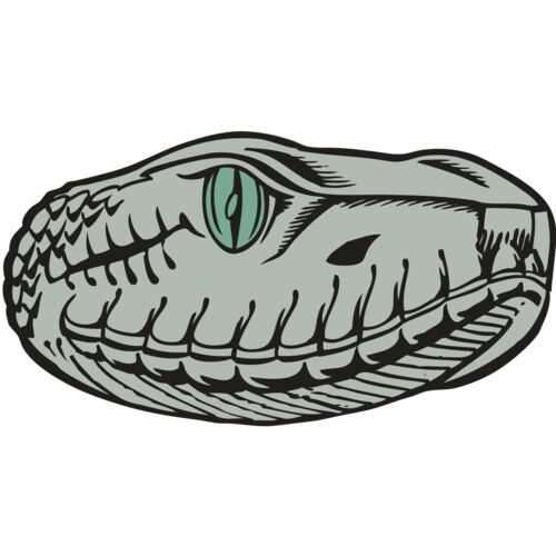 BAW SNAKE 10 RC Thumbnail