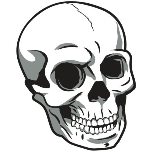 AR24 SKULL 14 RQC Thumbnail