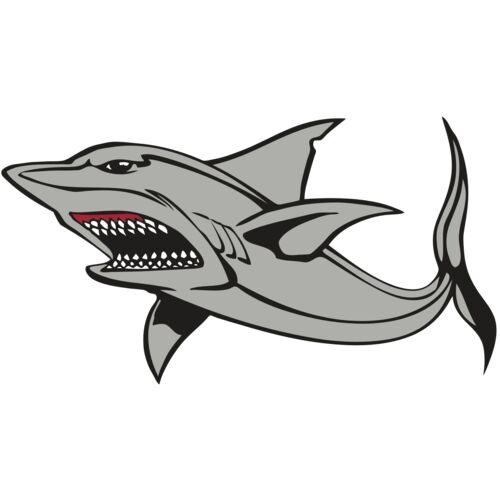 BAW SHARK 03 RC Thumbnail