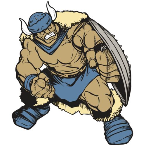 AR VIKING 36 RC Thumbnail