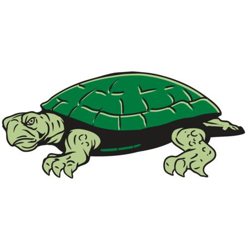 AR32 TURTLE 01 RQC Thumbnail