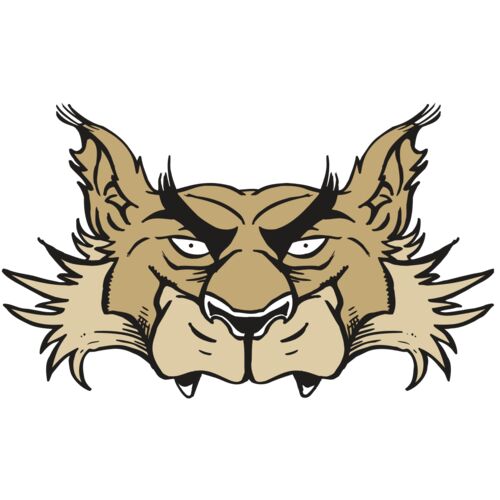 AR5 Wolf 28 RQC Thumbnail