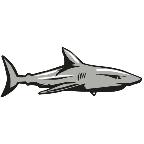 AR9 SHARK 01 RQC Thumbnail