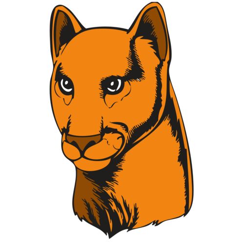 BAW COUG PANTH 07 R Thumbnail